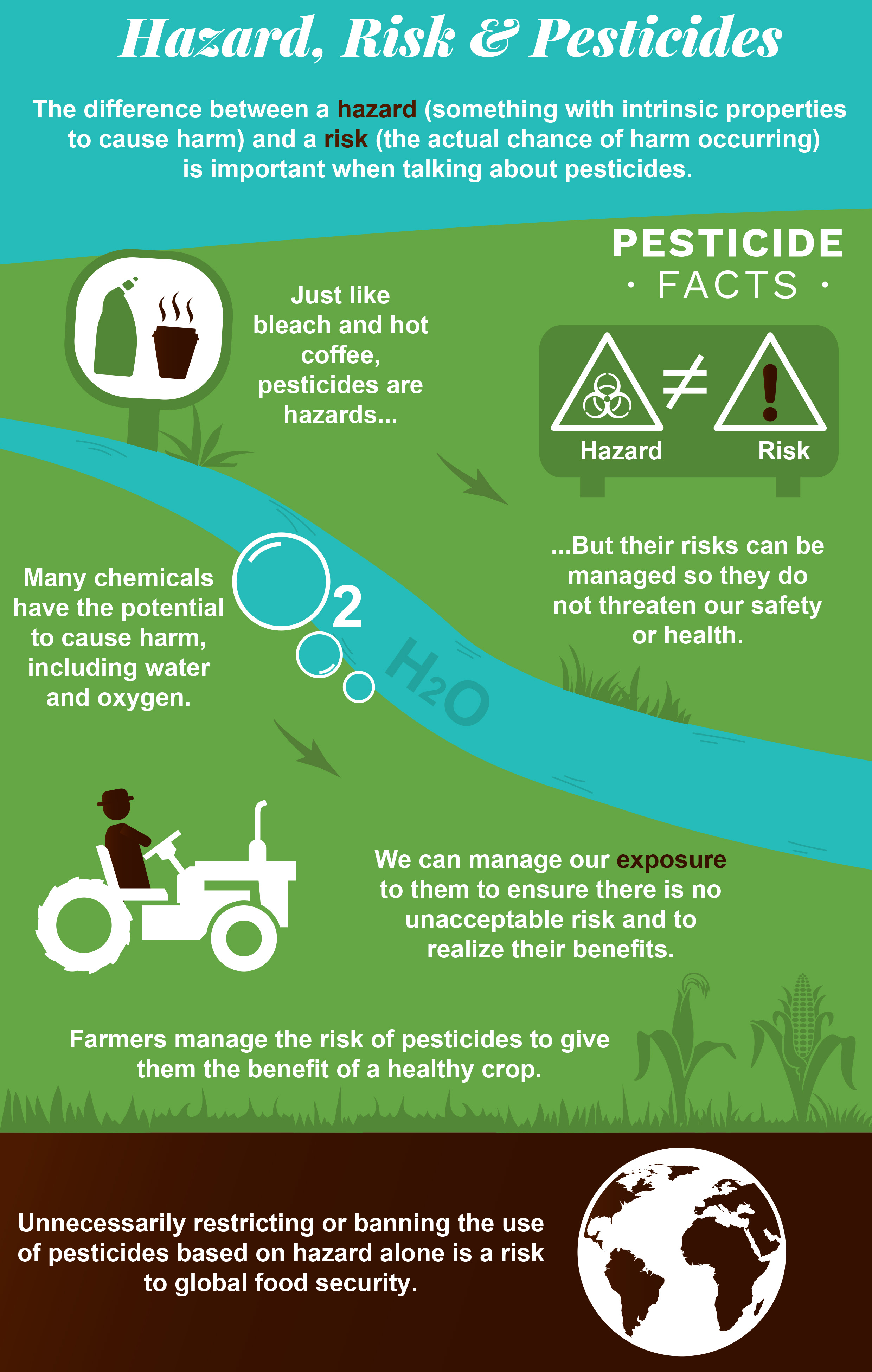 essay on health hazards caused by pesticides