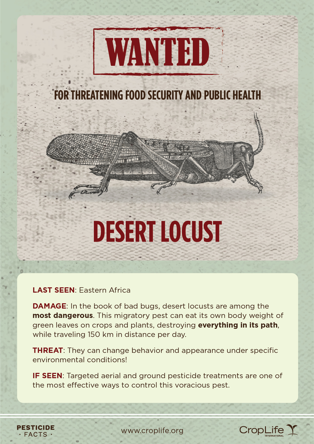 Wanted-Desert-Locust_Poster-FINAL